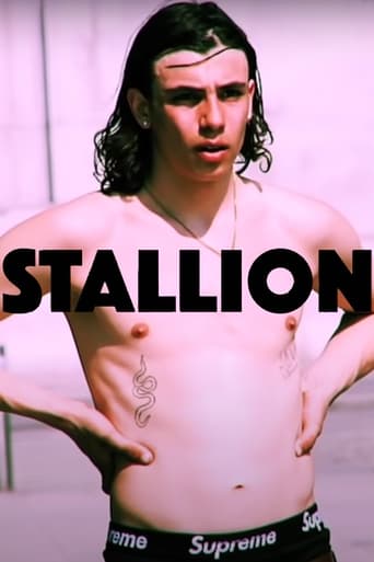 Poster of STALLION