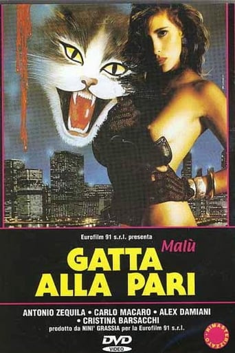 Poster of Gatta alla pari