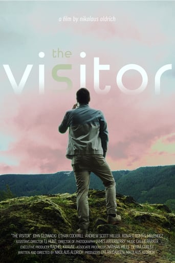 Poster of The Visitor