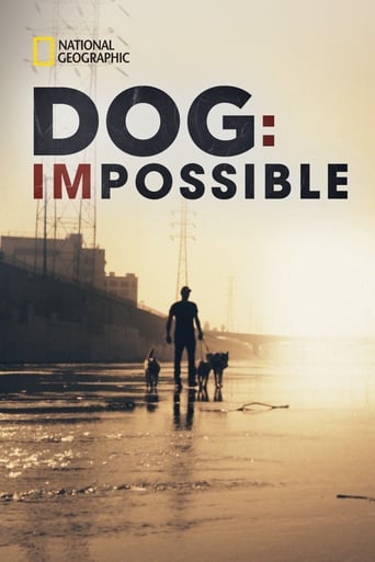 Poster of Dog: Impossible