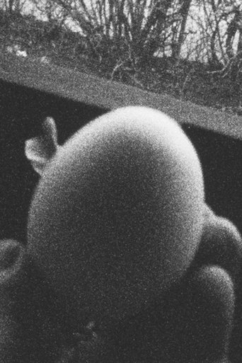Poster of 13 Eggs