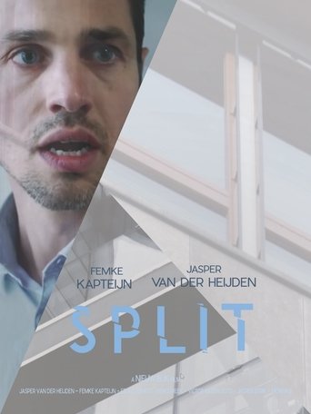Split Poster of Split