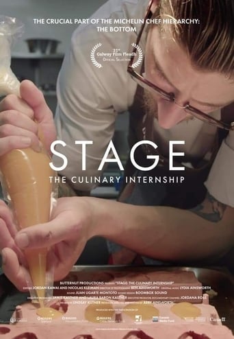 Poster of Stage: The Culinary Internship