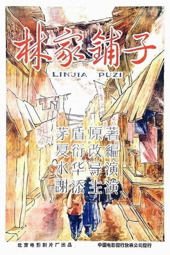 Poster of The Lin Family Shop