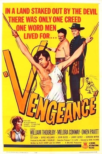 Poster of Vengeance