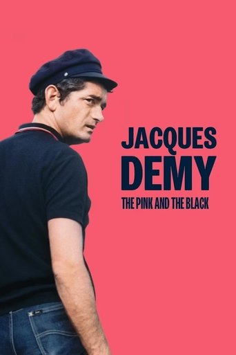 Poster of Jacques Demy: The Pink and the Black