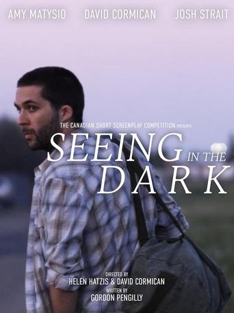 Poster of Seeing in the Dark