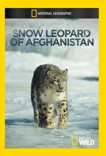 Poster of Snow Leopard of Afghanistan