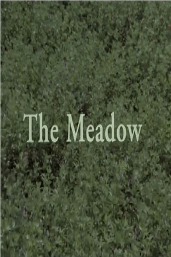 Poster of The Meadow