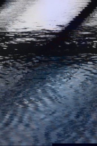 Poster of Playing With Water I