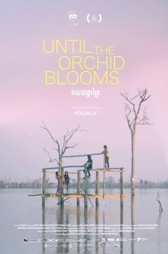 Until the Orchid Blooms Poster of Until the Orchid Blooms