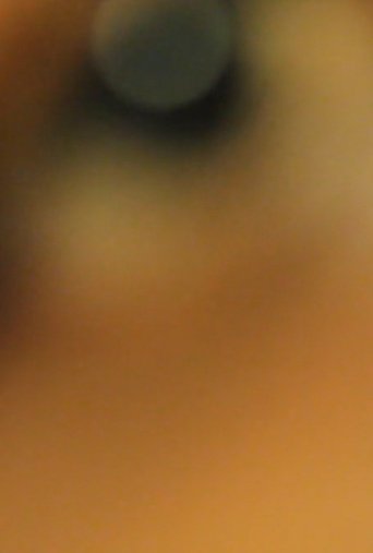 Poster of An exploration of self: no filter