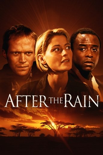 Poster of After the Rain