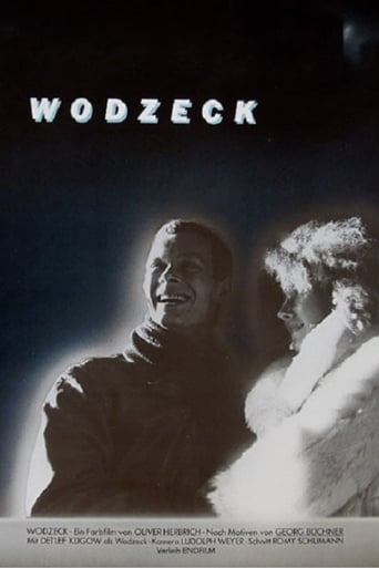 Poster of Wodzek