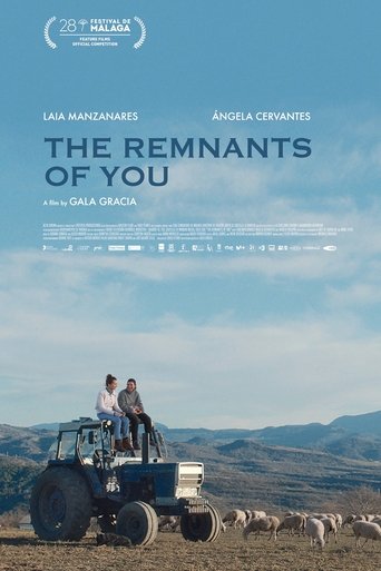 Poster of The Remnants of You