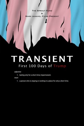 Poster of Transient