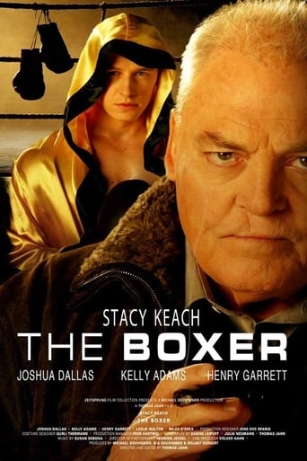 Poster of The Boxer