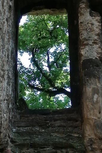Poster of The Ruins of Seyssuel's Castle