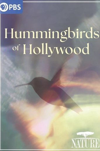 Poster of Hummingbirds of Hollywood