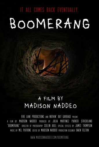 Poster of Boomerang