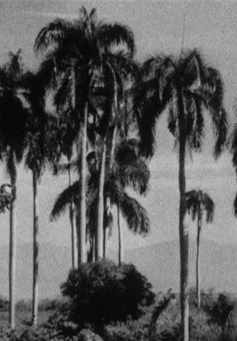 Poster of Haiti