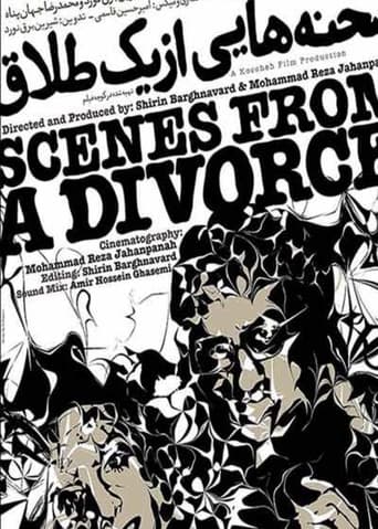 Poster of Scenes From a Divorce