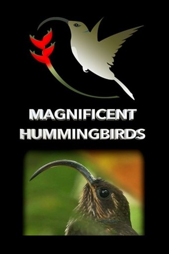 Poster of Magnificent Hummingbirds