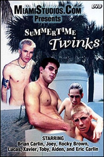 Poster of Summertime Twinks