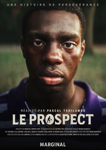 Poster of Prospect