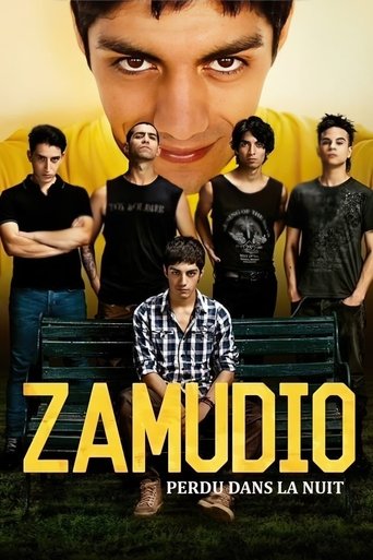 Portrait for Zamudio - Season 1