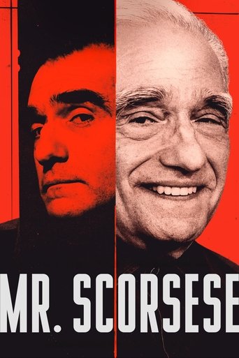Poster of Mr. Scorsese