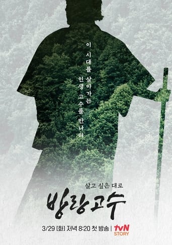 Poster of 방랑고수