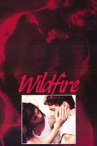 Poster of Wildfire