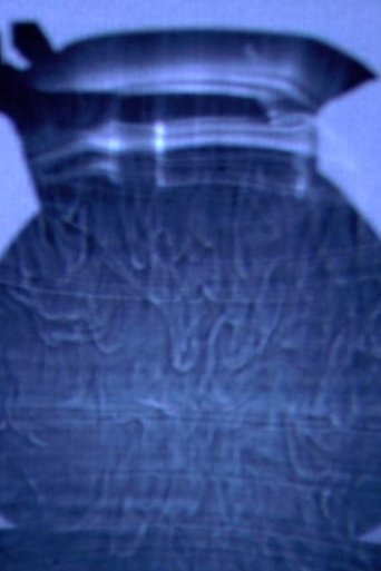 Poster of A Teakettle’s Thermal Beings