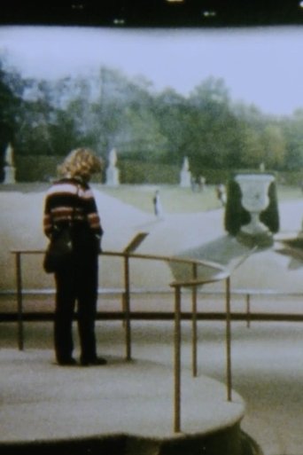 Poster of The Odyssey of Panoramas