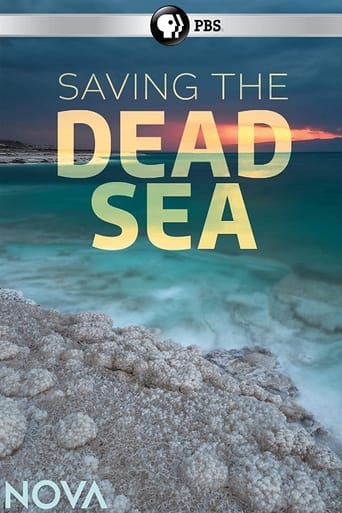 Poster of Saving the Dead Sea