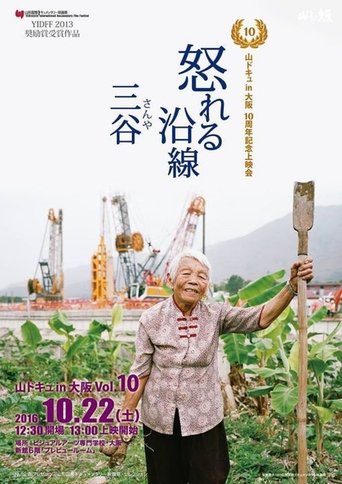 Poster of Raging Land 3: Three Valleys