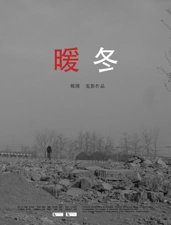 Poster of The Cold Winter