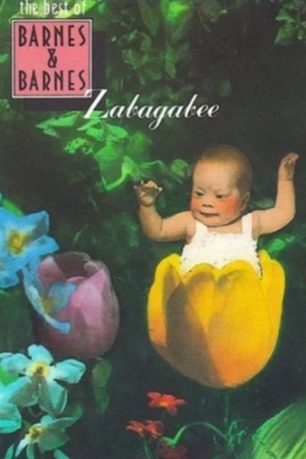 Poster of Zabagabee
