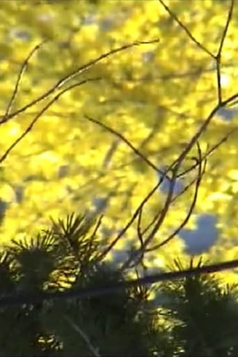 Poster of Late Spring