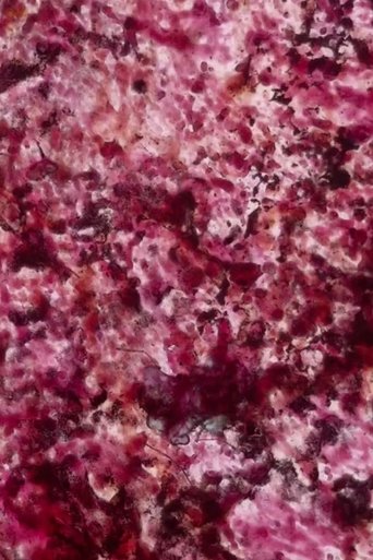 Poster of Levitator and Other Sensations