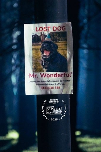 Poster of Mr. Wonderful