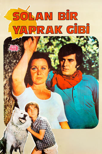 Poster of Solan Bir Yaprak Gibi