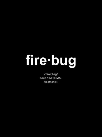 Poster of Firebug