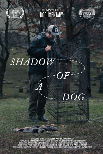 Poster of Shadow of a Dog