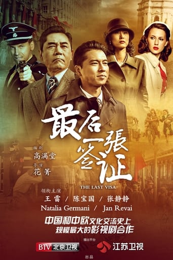 Poster of The Last Visa