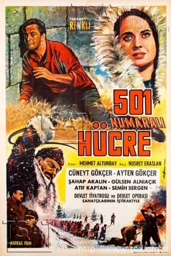 Poster of 501 Numaralı Hücre