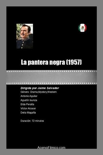 Poster of La pantera negra