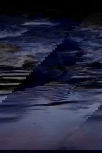 Poster of Falling Water