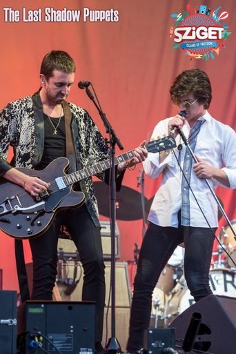 Poster of The Last Shadow Puppets at Sziget Festival
